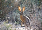 photo thumbnail #1