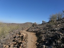 photo thumbnail #6