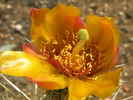 photo thumbnail #4