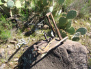 photo thumbnail #7