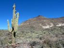 photo thumbnail #9
