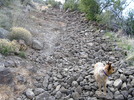 photo thumbnail #1
