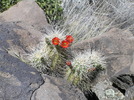 photo thumbnail #5