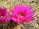 photo thumbnail #1