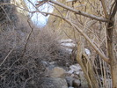 photo thumbnail #11