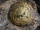 photo thumbnail #13