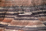 Featured Detail Photo
