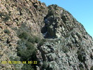 photo thumbnail #12