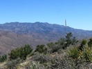 photo thumbnail #7