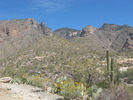 photo thumbnail #1