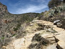 photo thumbnail #3
