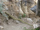 photo thumbnail #8