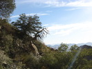 photo thumbnail #10