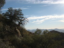 photo thumbnail #11