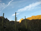 photo thumbnail #12