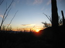 photo thumbnail #15