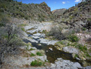 photo thumbnail #6
