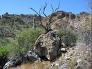 photo thumbnail #10