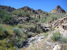 photo thumbnail #11