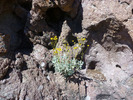 photo thumbnail #12