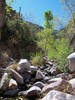 photo thumbnail #2