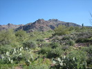 photo thumbnail #1