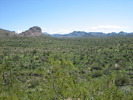 photo thumbnail #8