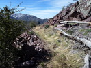 photo thumbnail #6