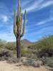 photo thumbnail #8