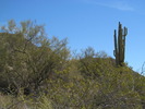 photo thumbnail #9