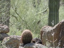 photo thumbnail #14