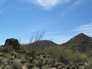 photo thumbnail #15