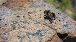 photo thumbnail #13