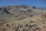 photo thumbnail #4