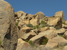 photo thumbnail #13