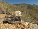 photo thumbnail #15