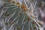 photo thumbnail #13