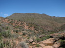 photo thumbnail #3