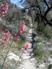 photo thumbnail #7