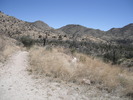 photo thumbnail #10