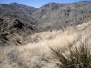 photo thumbnail #11