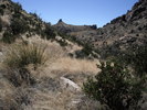 photo thumbnail #12
