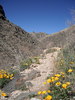photo thumbnail #15
