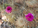 photo thumbnail #3