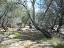 photo thumbnail #5