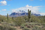 photo thumbnail #1