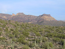 photo thumbnail #3