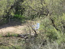 photo thumbnail #3