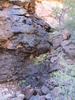 2012-03-24 :2: Dripping Springs from Peralta :: wallyfrack
