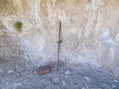 photo thumbnail #12